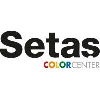 Setas logo